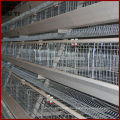 Alibaba Gold Supplier Supply Chicken Cage